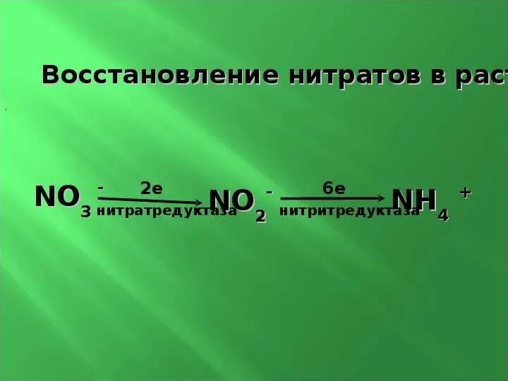 Нитраты нитриты формулы. Восстановление нитратов. Восстановление нитратов до нитритов. Восстаговлениенитратов в нитриты. Пути восстановления нитратов в растении.