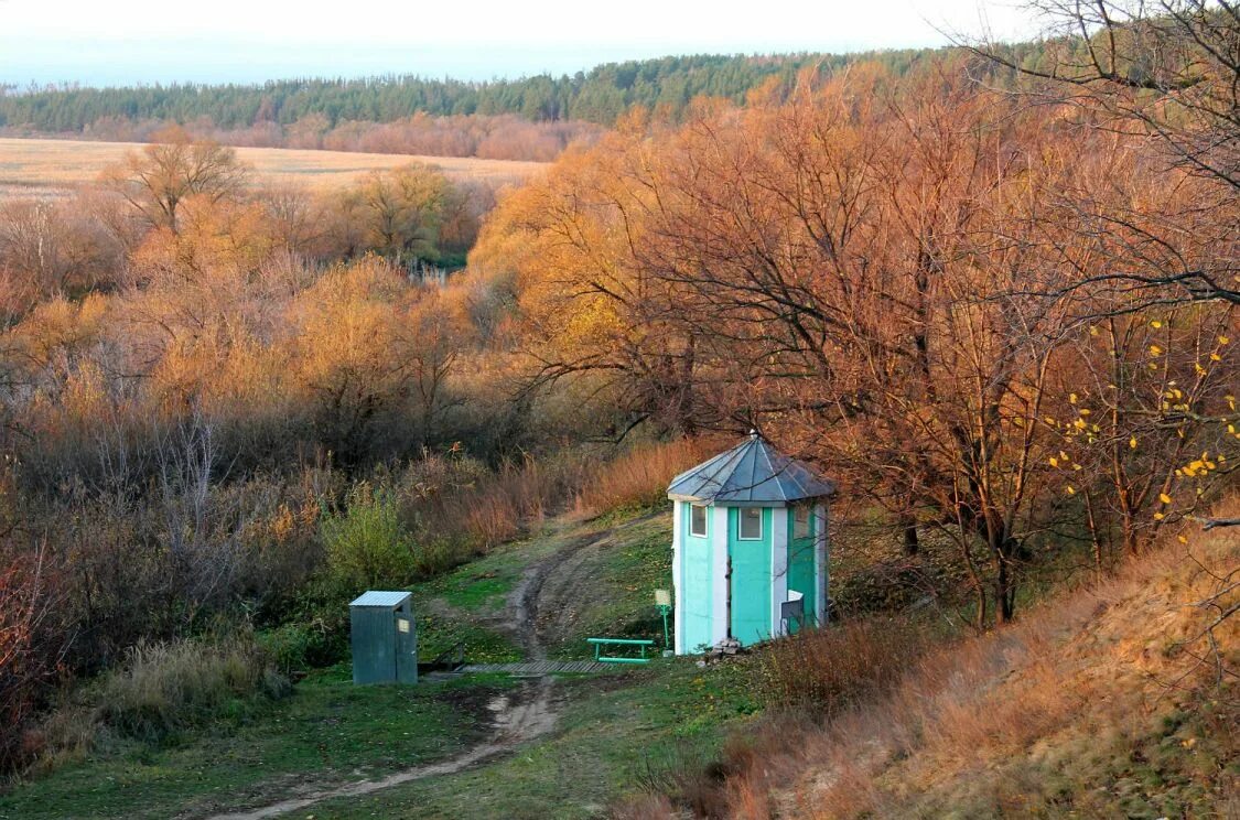 Источник Тихона Амафунтского Воронеж Подгорное. Святой источник святителя Тихона Амафунтского село Подгорное. Достопримечательности села Подгорное Воронежская. Купель Тихона Амафунтского Воронеж Подгорное. 90 лет воронежской области