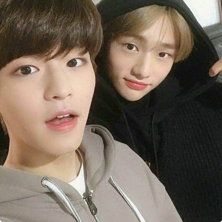 Хёнмины. Хёнмин шип. Stray kids хёнджин. Хёнмины stray. Минхо сынмин и хенджин.