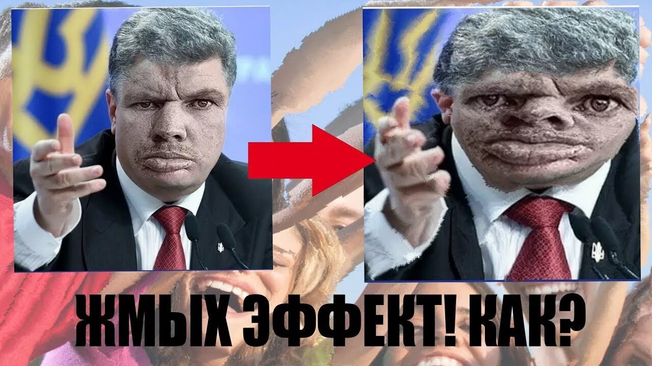 Болотов жмыхи. Пивная каша жмых. Болотов жмыхи. Шрот хлопка. Болотов днр.