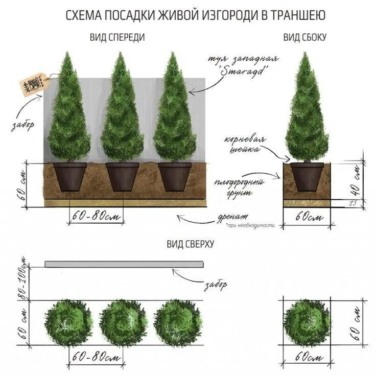 Смарагд расстояние при посадке