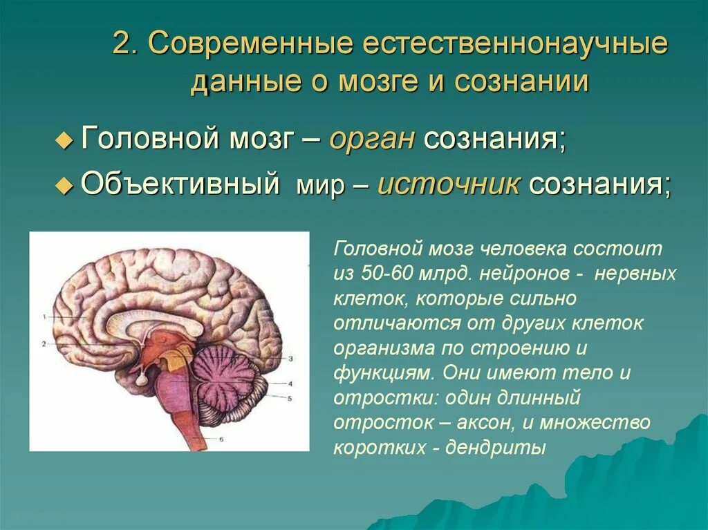 Сознание структуры мозга. Сознание и мозг. Данные мозг. Мозг философия. 1 сознание и мозг