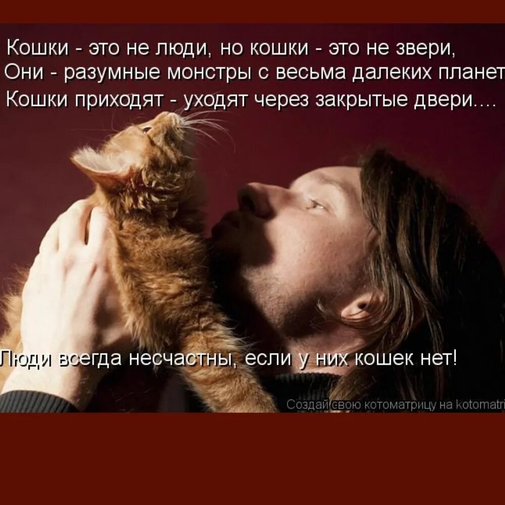 Сильно люблю кошек. Психология кошек. Люди которые любят кошек. Кот любит человека.