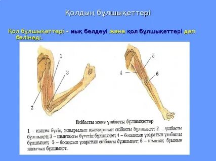 Порнодағы Кэрри-Эн Мосс