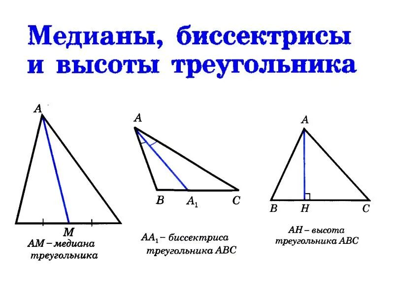 Построение высоты в остроугольном тупоугольном прямоугольном треугольнике. Медиана биссектриса высота 7 класс. Медиана биссектриса и высота треугольника. Определение Медианы биссектрисы и высоты треугольника. Определение Медианы биссектрисы и высоты треугольника 7 класс.