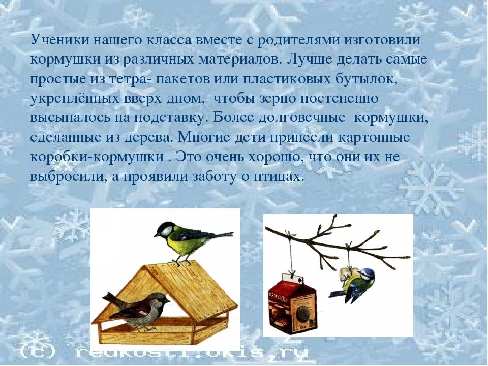 Как заботиться о птицах. Забота о зимующих птицах. Зимой должны заботиться о птицах. Помогайте птицам зимой. Забота птиц проект.