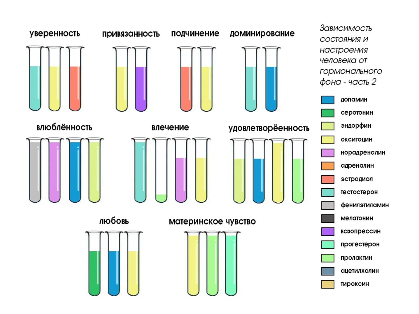 Зависимость состояния человека от гормонального фона. Зависимость состояния и настроения человека от гормонального фона. Гормоны и чувства. Гормоны и эмоции в пробирках. Эндорфин 2