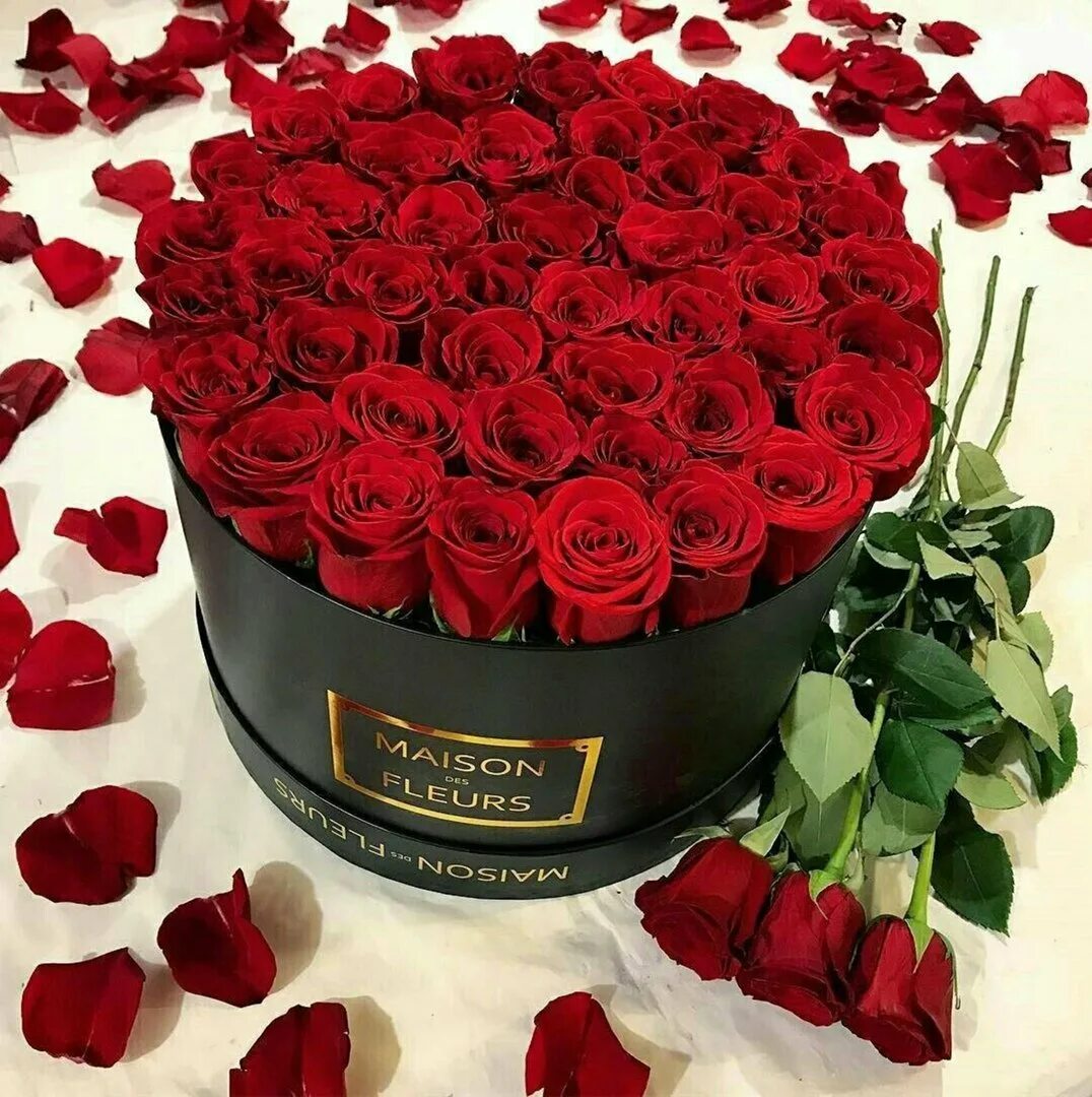 Доброе утро розы надписи. Шикарный букет роз. Шикарные красные розы. Букет роз с днем рождения. Шикарные розы с днем рождения.
