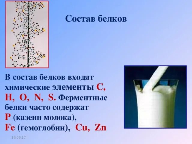 Какой элемент входит в состав белка. Что входит в состав белков. химические элементы входящие в состав белков.
