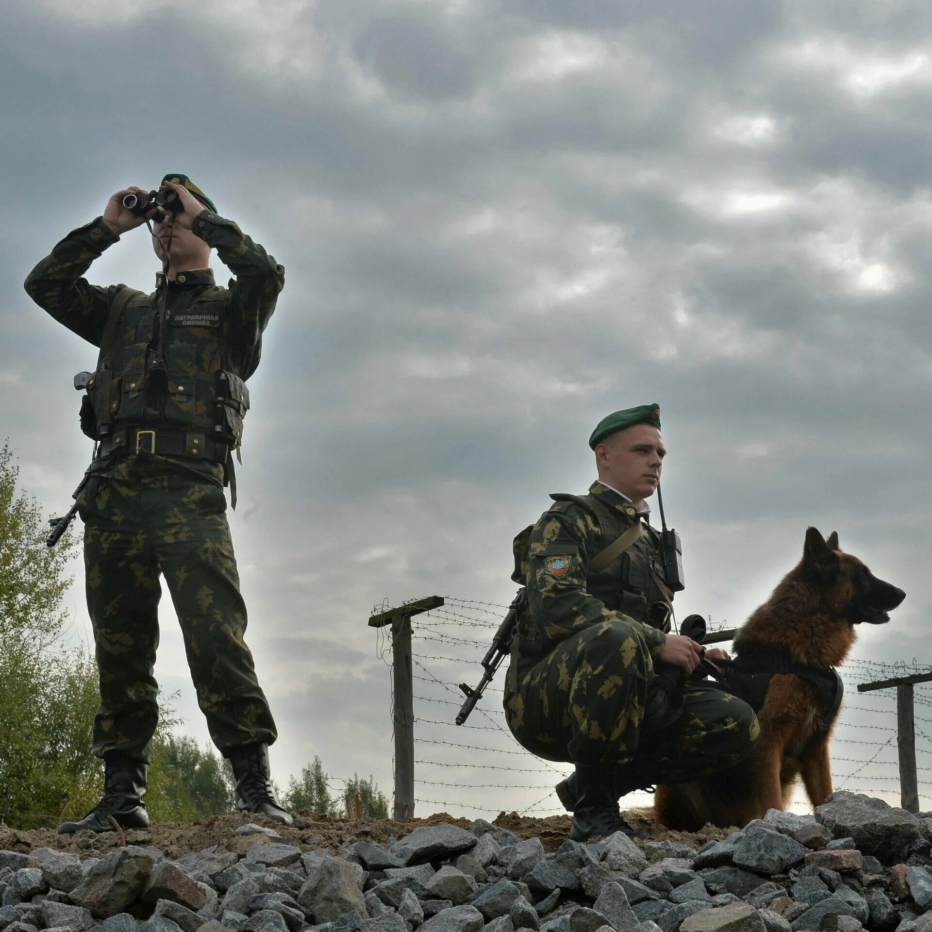 Пограничный пес алый. С днём пограничника поздравления. Пограничный пес алый. Тем кто служил на границе. Балтийская коса нормельн погранзастава.