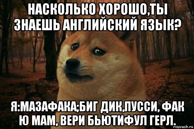 Ты не знаешь английский язык. Шутки на английском. Мемы по английскому языку. Знаю английский прикол.