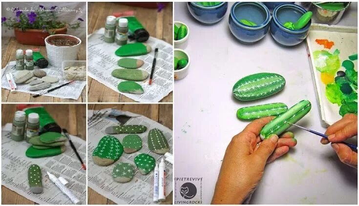 Какую краску получают из кактусов