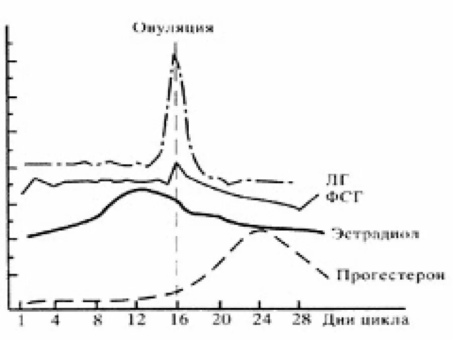 Гормон фсг на какой день. Гормоны ФСГ И ЛГ. Соотношение ЛГ И ФСГ. ФСГ И ЛГ по дням цикла. Соотношение гормонов ЛГ И ФСГ.