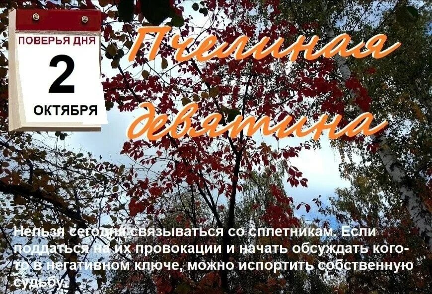 2 октября какой день. С началом октября. 2 октября день. со вторым октября. счастливого октября.