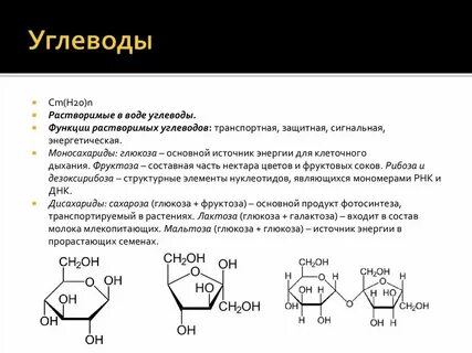 Каталитическую структурную запасающую гормональную сократительную энергетическую