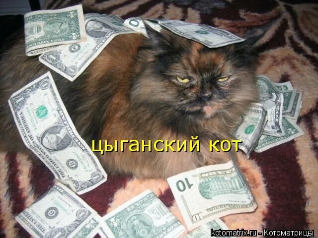 Нет бабла нет бабла слезы