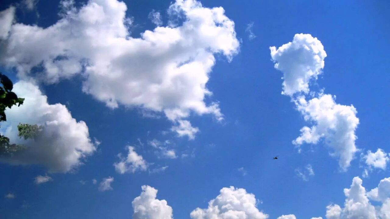 Новые песни облака. Облака Егоров. На что похожи облака. Облака облака облака проплывают над крышами. Облако гимн.