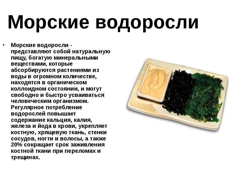 Водоросли употребляют. Водоросли пищевые. Водоросли еда для человека. Съедобные водоросли съедобные водоросли. Морские водоросли употребляемые в пищу.