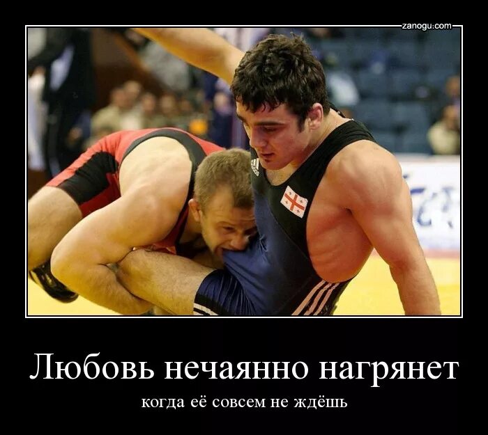 Сумо. / Некто Нечто