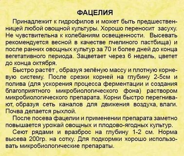 Фацелия норма высева на сотку вручную