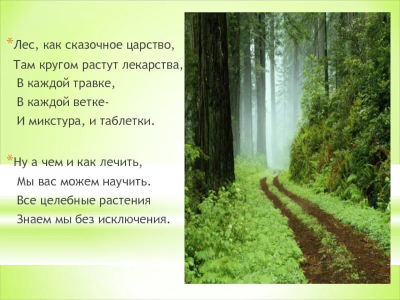 Стихи о лесе. Стихотворение про лес. Стихотворение про лесс. Стих про лес короткие.