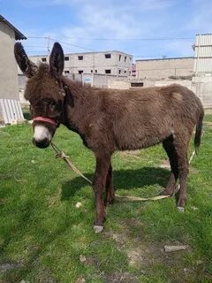 HD порно видео онлайн 720p