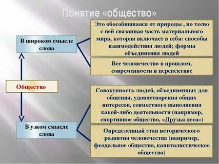 Почему ученые характеризуют общество как форму