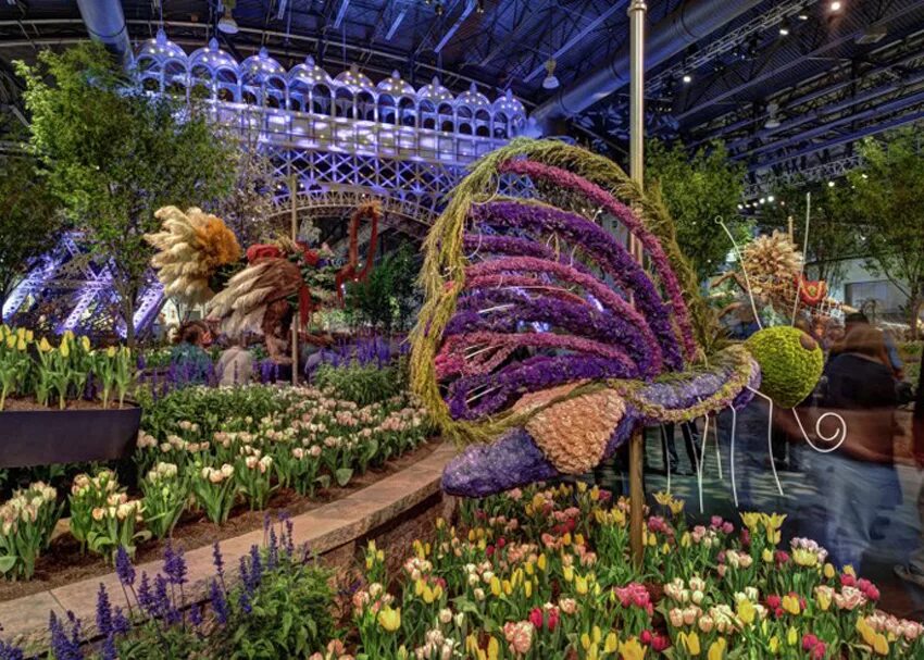 Цветочный магазин экзотические цветы. Philadelphia Flower and Garden show сады. Выставка цветов. Цветочная выставка. Выставка цветы.