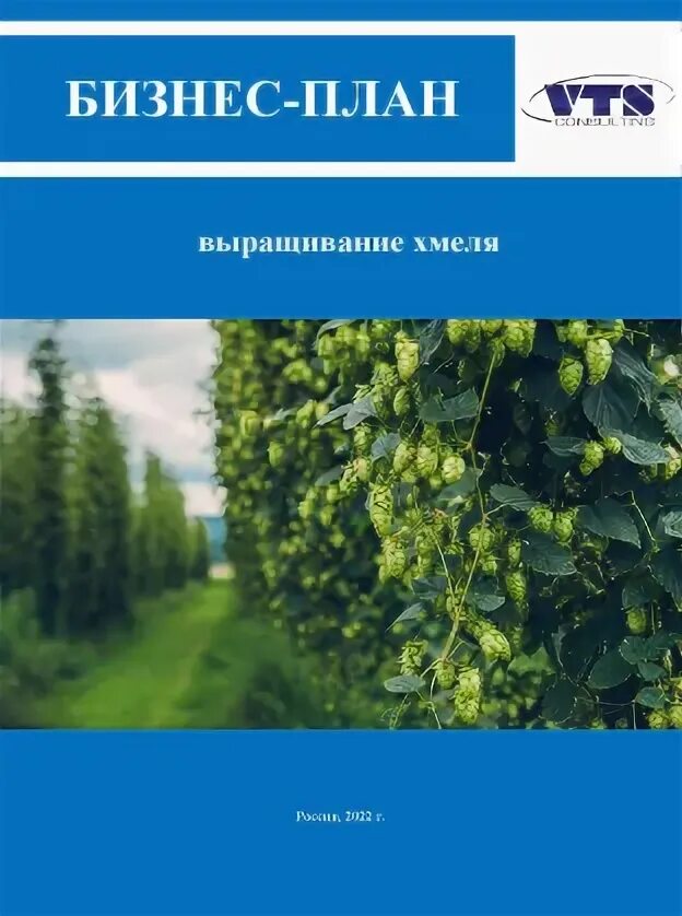 План фермерского хозяйства готовый. Бизнес план по выращиванию микрозелени. Бизнес план кфх. Бизнес план разведения коз. Бизнес план по разведению кур.