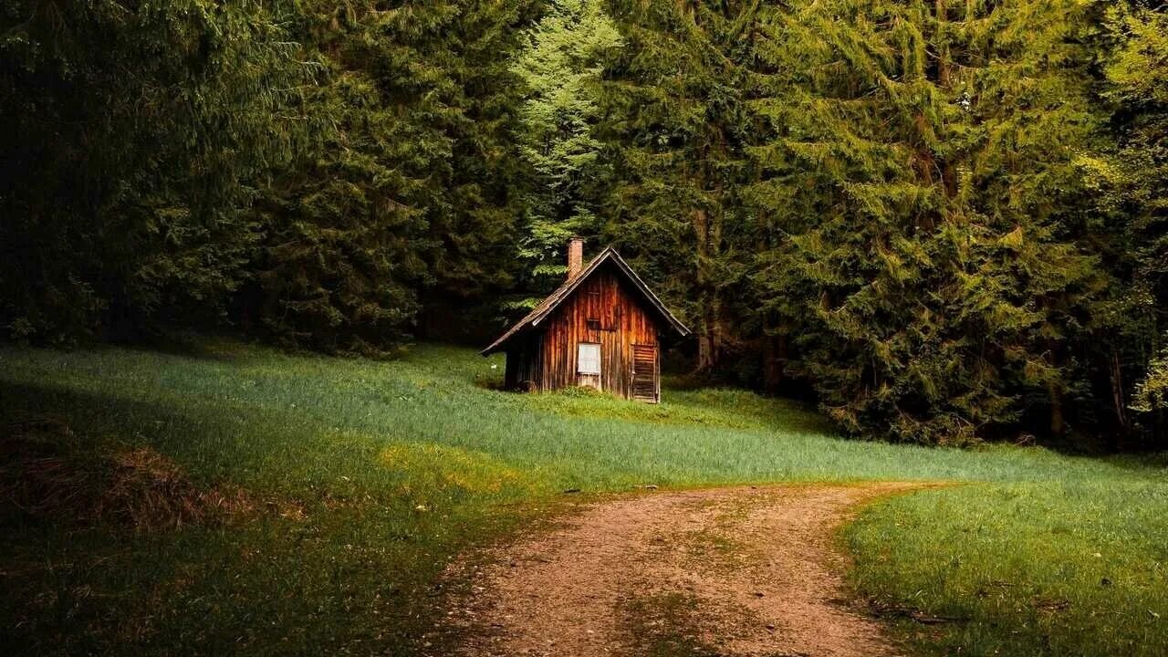 See this Instagram photo by @resatka * 3,353 likes Cabins in the woods, Forest h