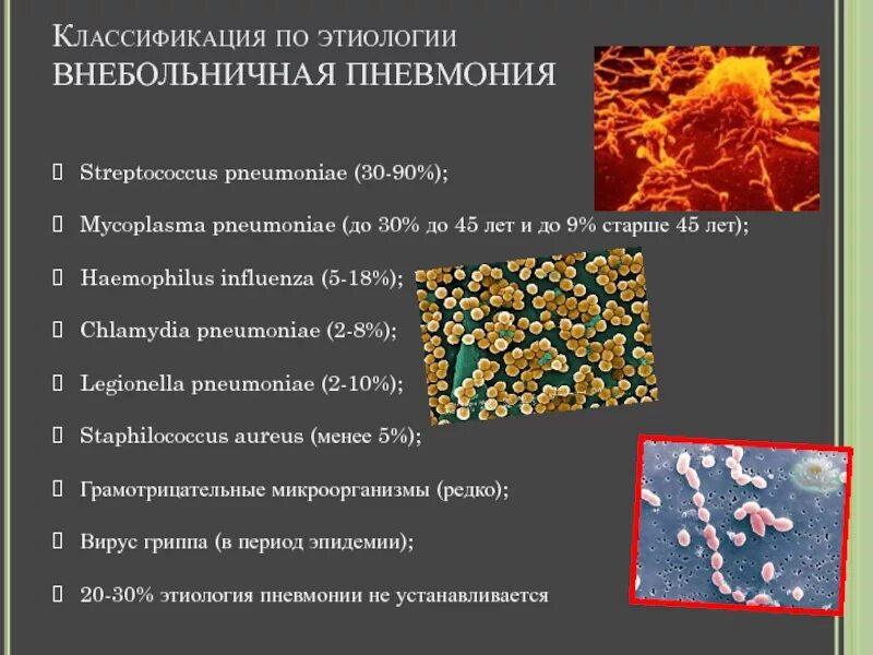 Антибиотик при микоплазменной пневмонии. Микоплазма пневмонии Mycoplasma pneumoniae. Классификация пневмоний по этиологии. Микоплазма пневмония возбудитель. Хламидии и микоплазмы пневмонии.