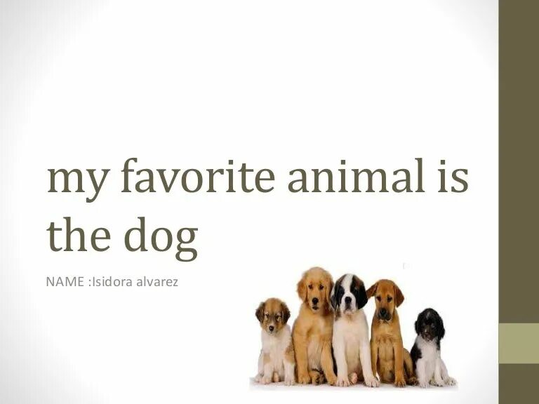 Essay about animals. Проект my favourite Pet. Проект my favourite animal. My favorite animal is a Dog. My favourite animal is a Dog или Dog.
