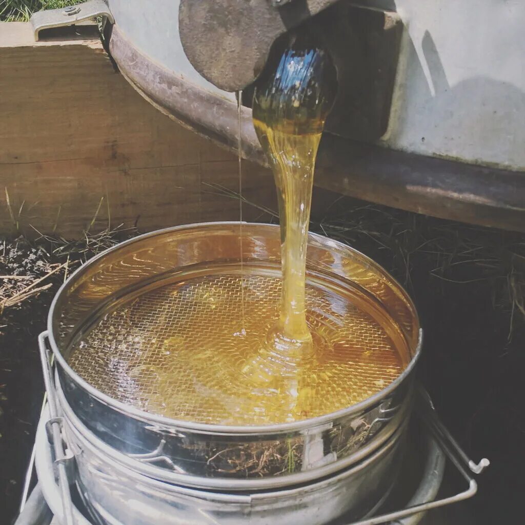 центрифуга для откачки меда. качка меда фото. качка мёда медогонка. выкачка меда. качки мёда.