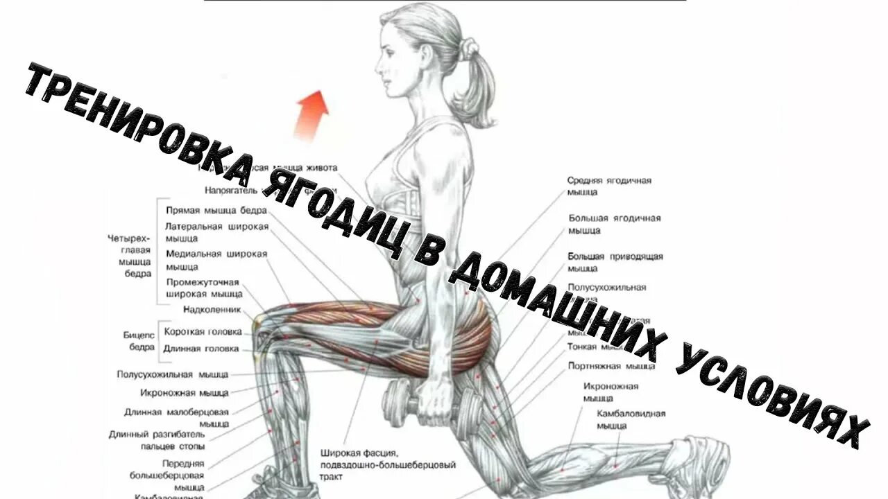 Упражнения для прокачки ягодиц. Быстро накачать ягодицы. Накачать ягодицы в домашних условиях. Как быстро накачать ягодицы в домашних условиях.