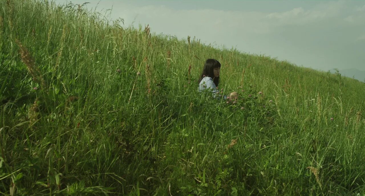 Out in the fields. Out in the fields. Человек природа поле. Степи и человек. Пустынные (суперксерофильные) степи.