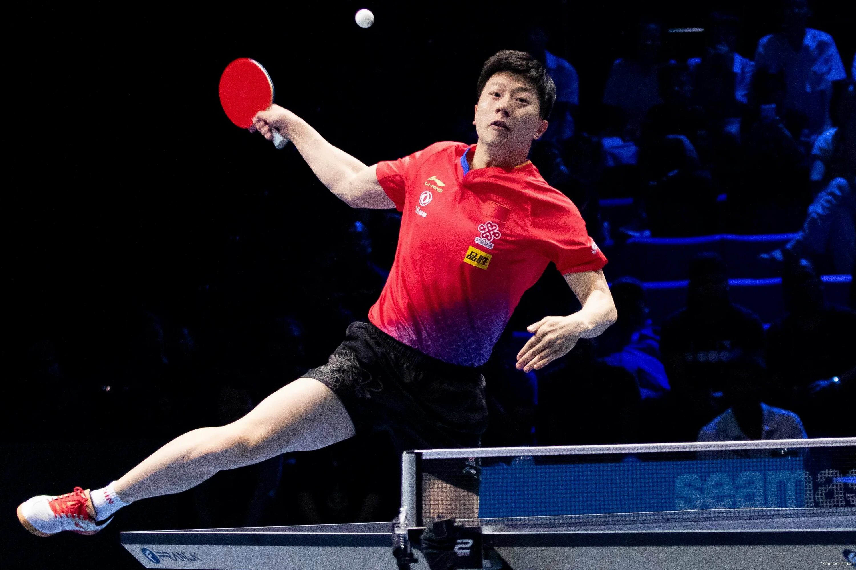 Настольный теннис топ. Ma long теннисист. Симон Гози настольный теннис. Ma long Table Tennis. Ма Лонг топ спин.