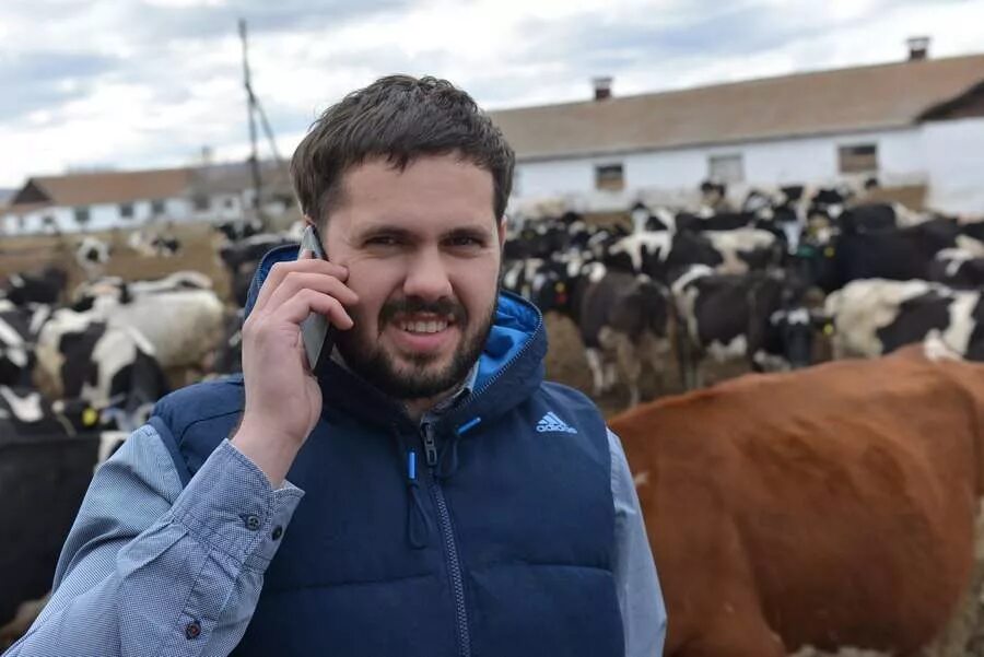 Республика хакасия сельское хозяйство. Теленок. Фермер хакасии. Кфх в хакасии. Кфх и лпх.