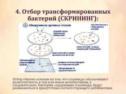 Клонирование карт
