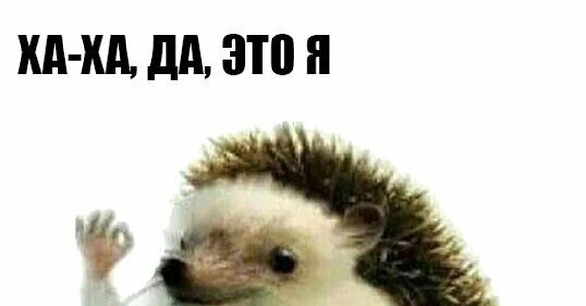 Это не я это он мем. Я мем. Показывает на себя мем. Нууу мем. Мем с это я это я леонардо.