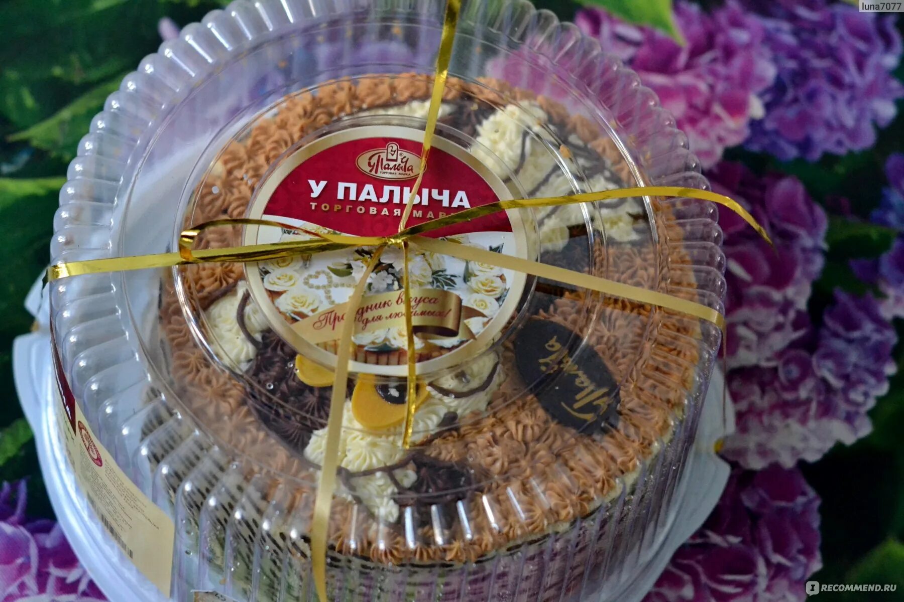 торт у палыча зоопарк. детские торты от палыча.