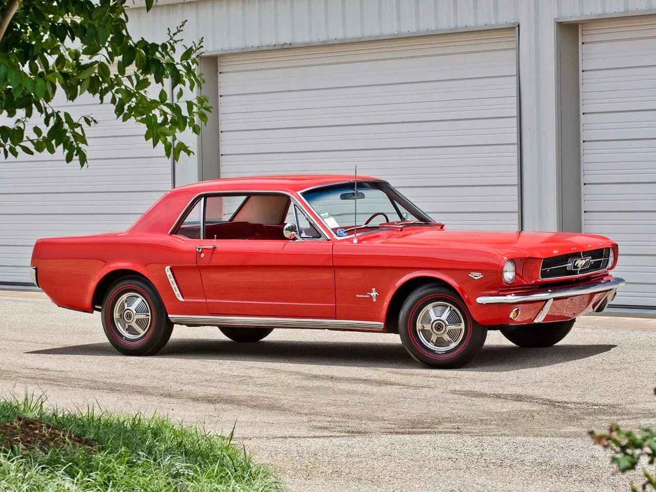 1964 года купить. Форд Мустанг 1965. Форд Мустанг Shelby 1965. Ford Mustang 1965 Coupe. Форд Мустанг хардтоп 1965.