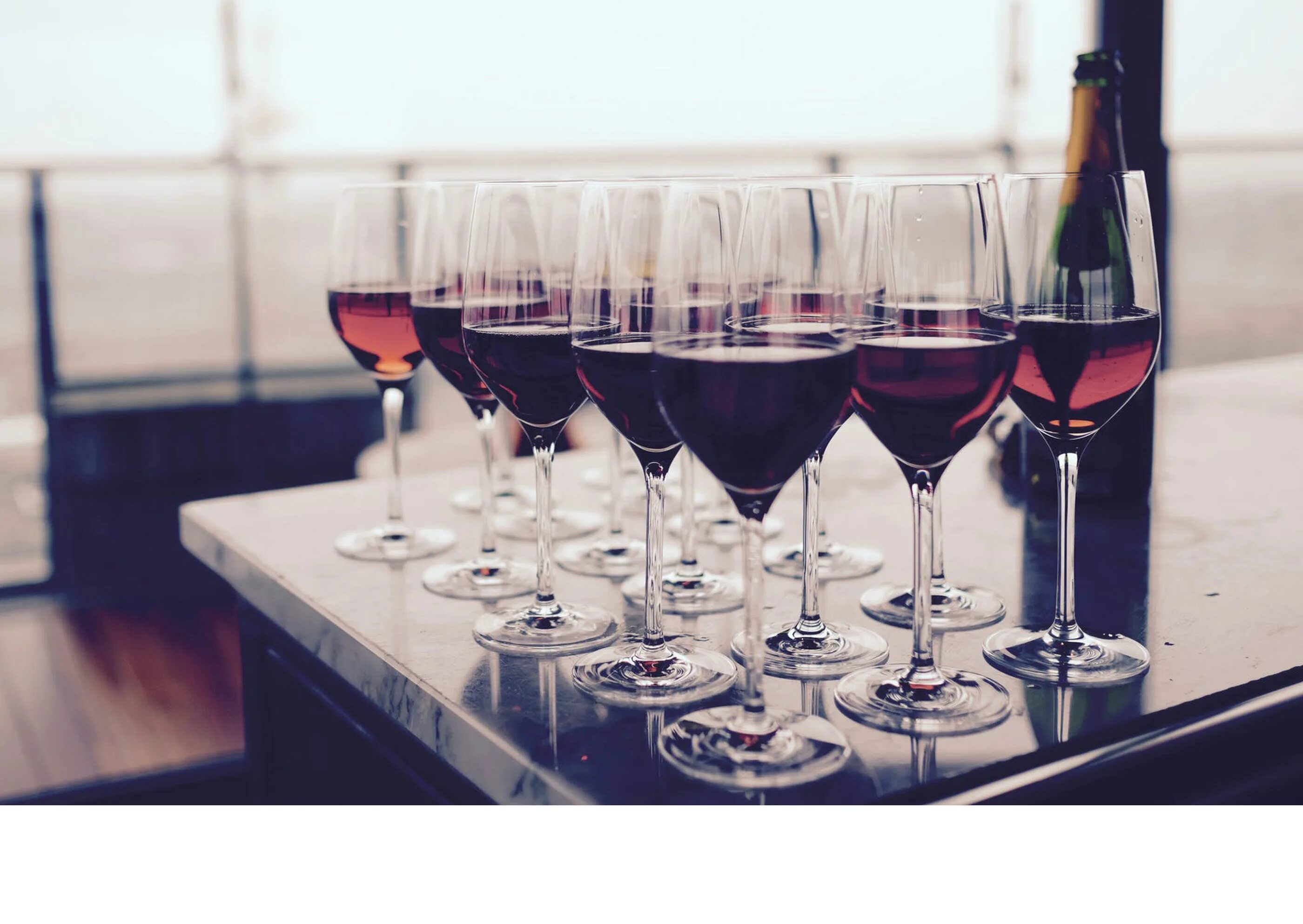 Wine academy