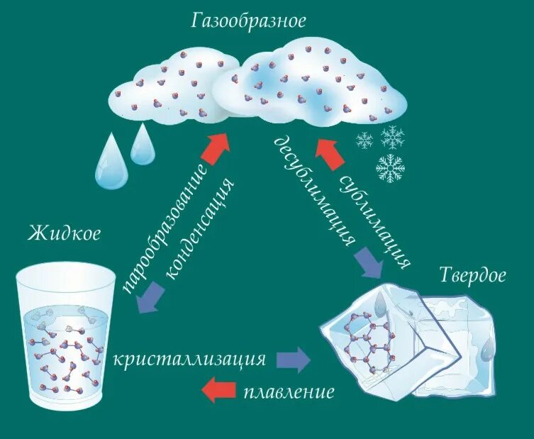 Агрегатные состояния воды схема. Агрегатные состояния вещества воды. Твердое агрегатное состояние воды. Аритатное состояние воды.