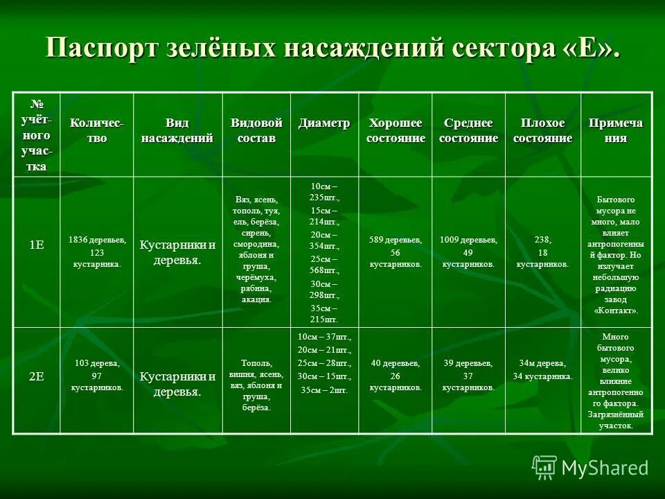 Уровни жизненного состояния растений. Уровни жизненного состояния растений