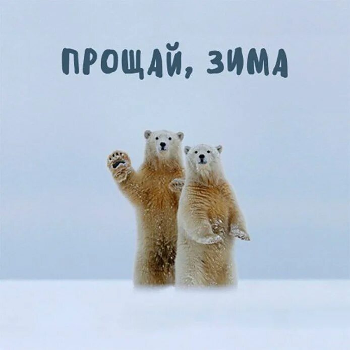 С последним днем зимы. Прощай зима спасибо за снежинки. Пока зимой. С последним днем зимы. Пока еще зима.