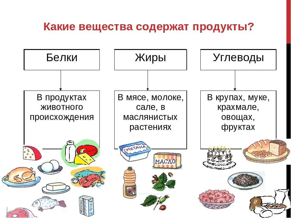 Как изменяются белки жиры и углеводы. Схема питания белков жиров углеводов. Белки жиры углеводы схема продуктов. Классификация белков жиров и углеводов в продуктах. Классификация белков, жиров, углеводов, витаминов.