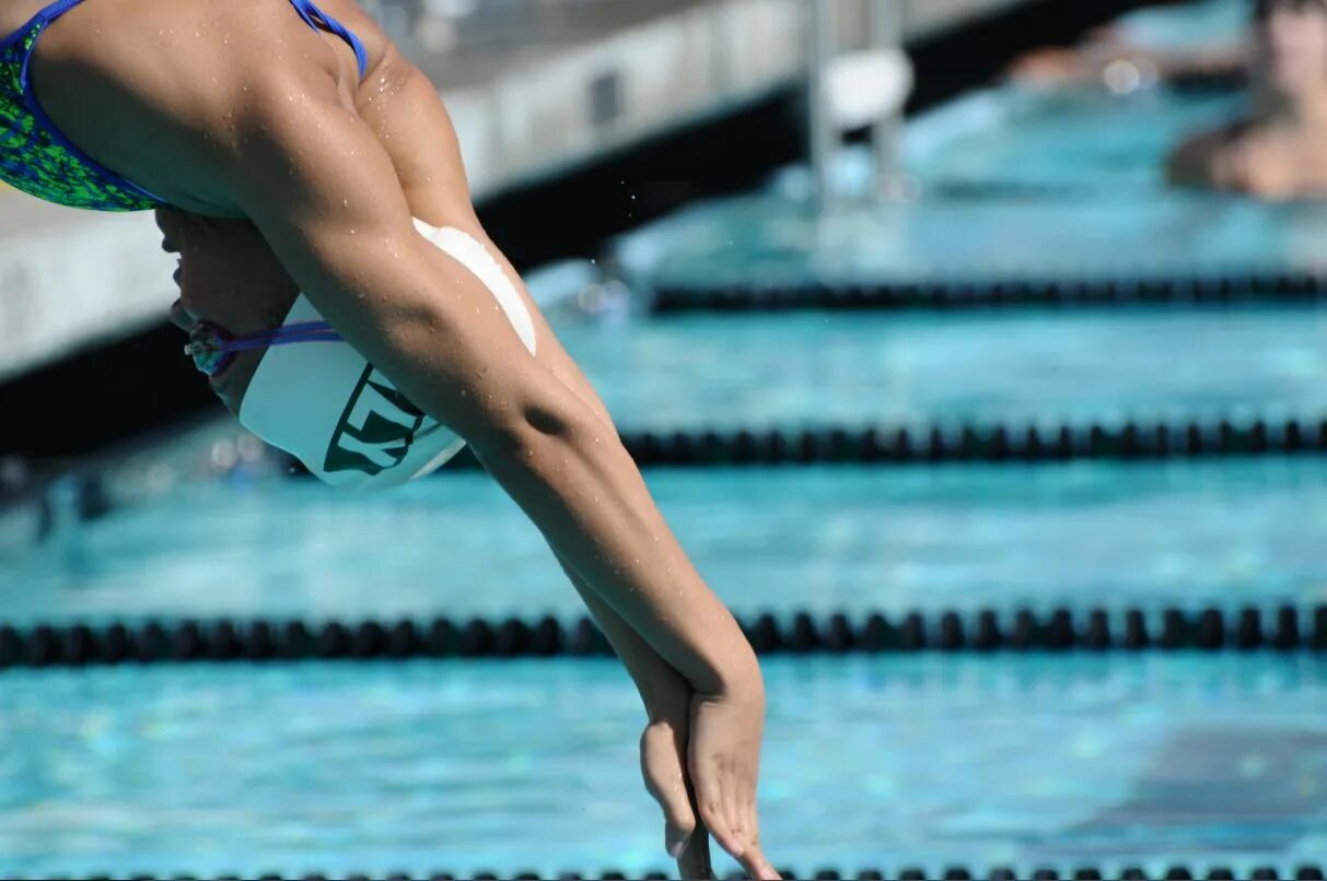 Daisy the swimmer