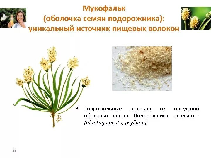 Подорожник овальный семена. Подорожник яйцевидный семена. Подорожника овального семян. Подорожника овального семян оболочка препараты. Оболочка семян подорожника овального (Plantago ovata Forssk.