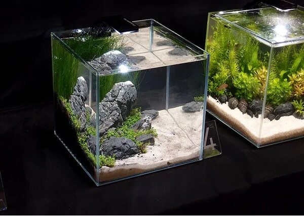 Аквариум акваэль 30л креветочник. Нано аквариум. Nano design. Нано креветочник. Аквариум нано куб 10 литров.