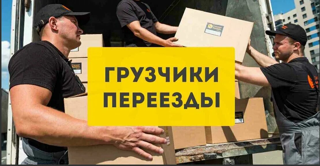 Современное оборудование грузчиков. Современное оборудование грузчиков. Грузчик окон. Переезд воронеж. Девушка грузчик красивая.